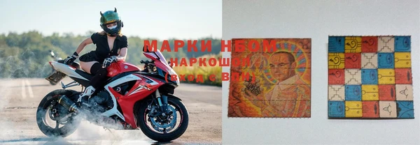 эйфоретик Арсеньев