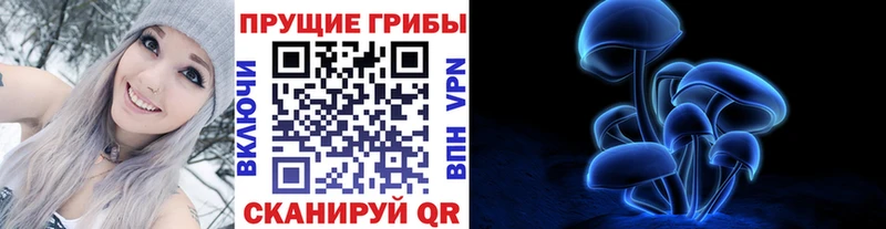 Галлюциногенные грибы прущие грибы  купить  цена  Старица 